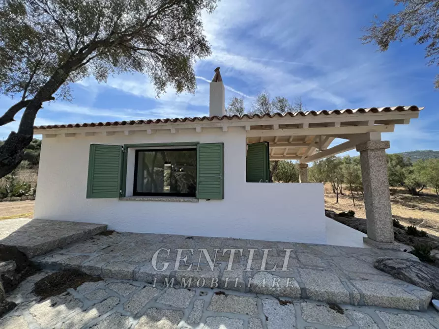 Immagine 21 di Villa in vendita  a Olbia