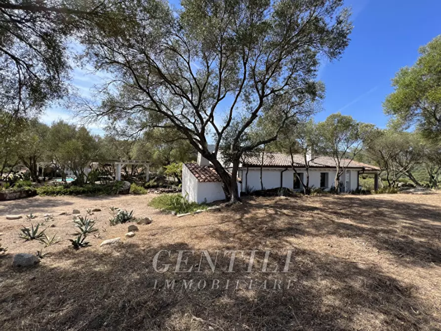 Immagine 24 di Villa in vendita  a Olbia