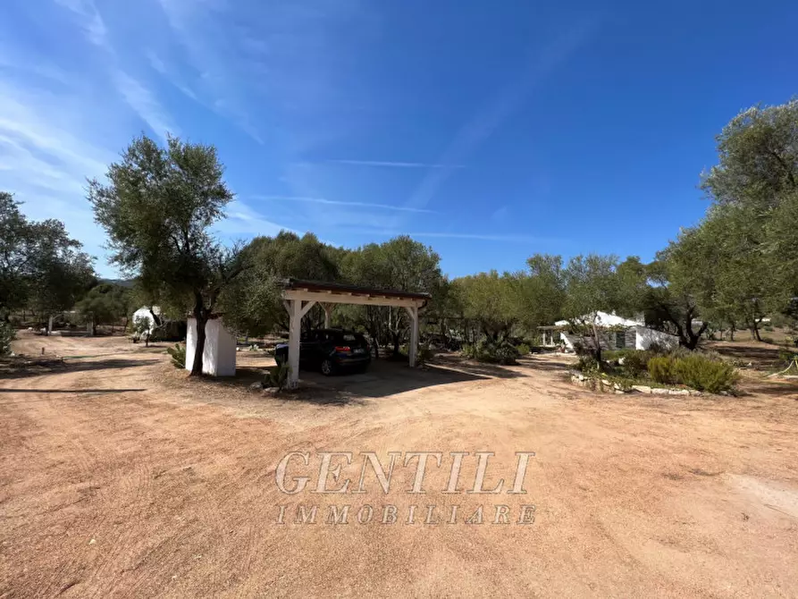 Immagine 25 di Villa in vendita  a Olbia