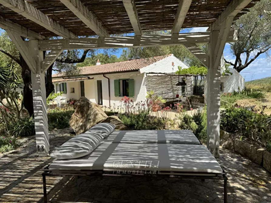Immagine 28 di Villa in vendita  a Olbia