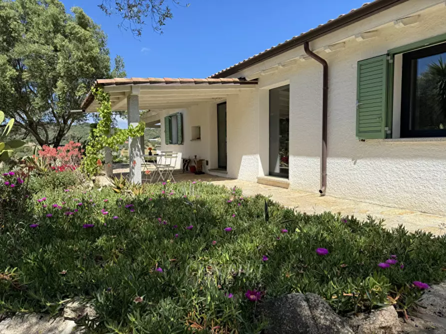 Immagine 29 di Villa in vendita  a Olbia