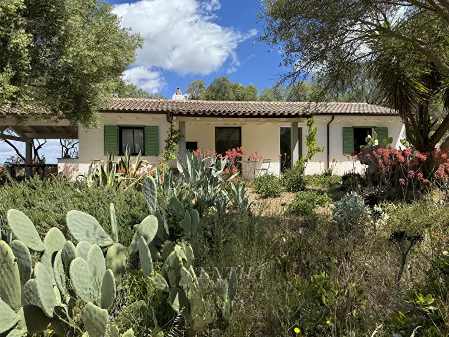 Immagine 30 di Villa in vendita  a Olbia