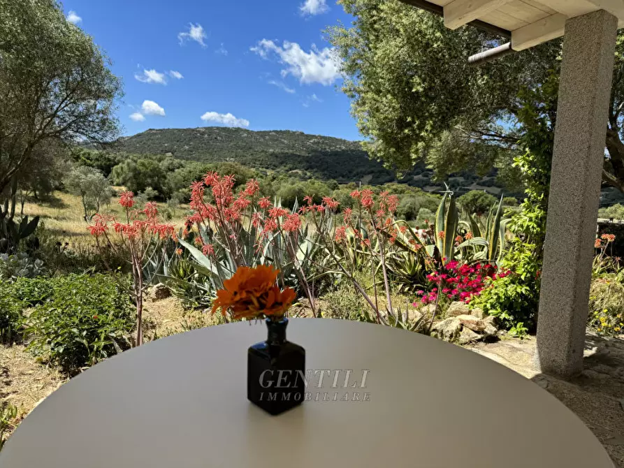 Immagine 31 di Villa in vendita  a Olbia