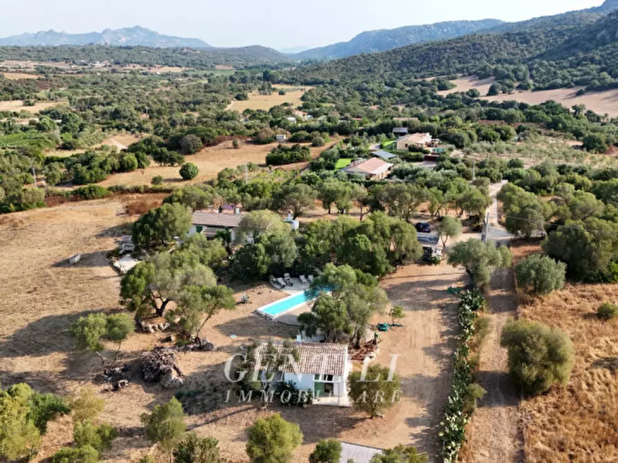 Immagine 38 di Villa in vendita  a Olbia