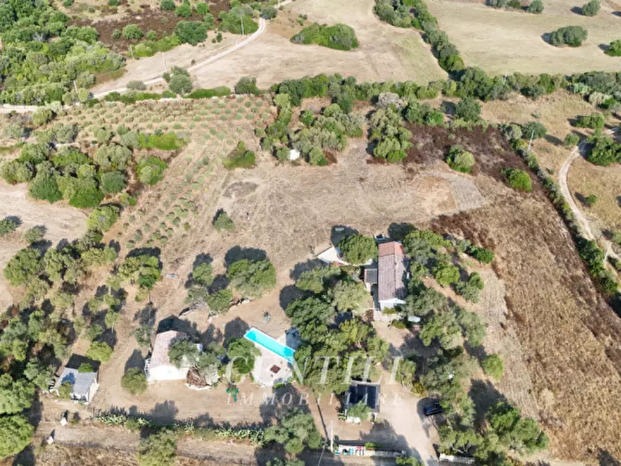 Immagine 39 di Villa in vendita  a Olbia