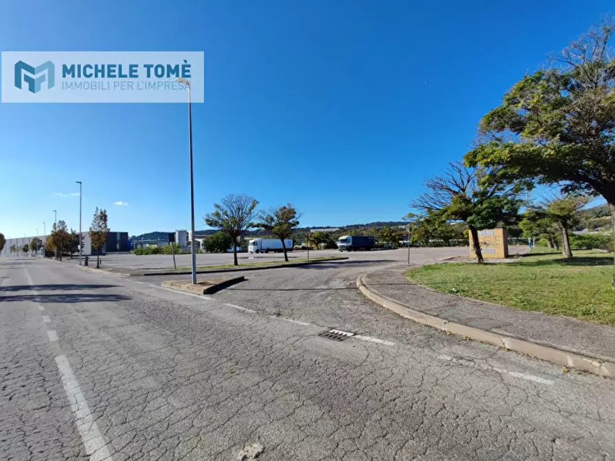 Immagine 2 di Terreno in vendita  in via pegrosse a Dolcè