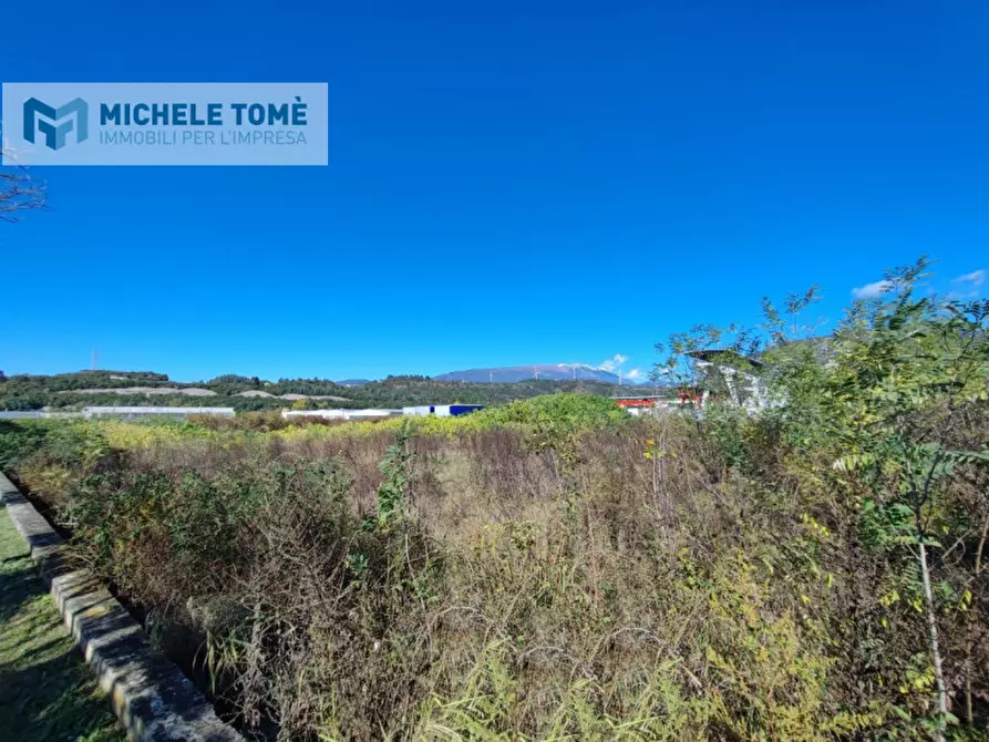 Immagine 3 di Terreno in vendita  in via pegrosse a Dolcè