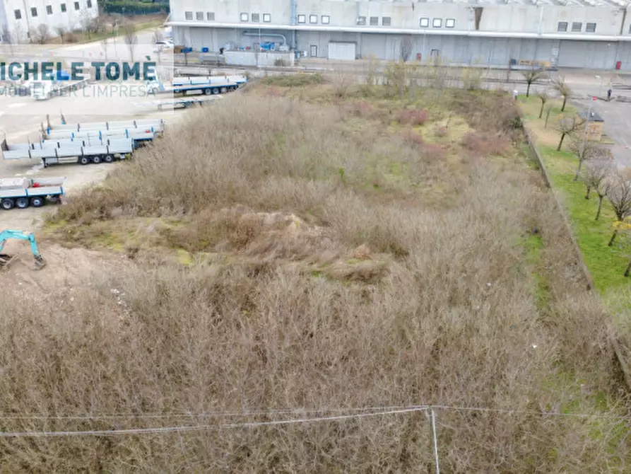 Immagine 5 di Terreno in vendita  in via pegrosse a Dolcè