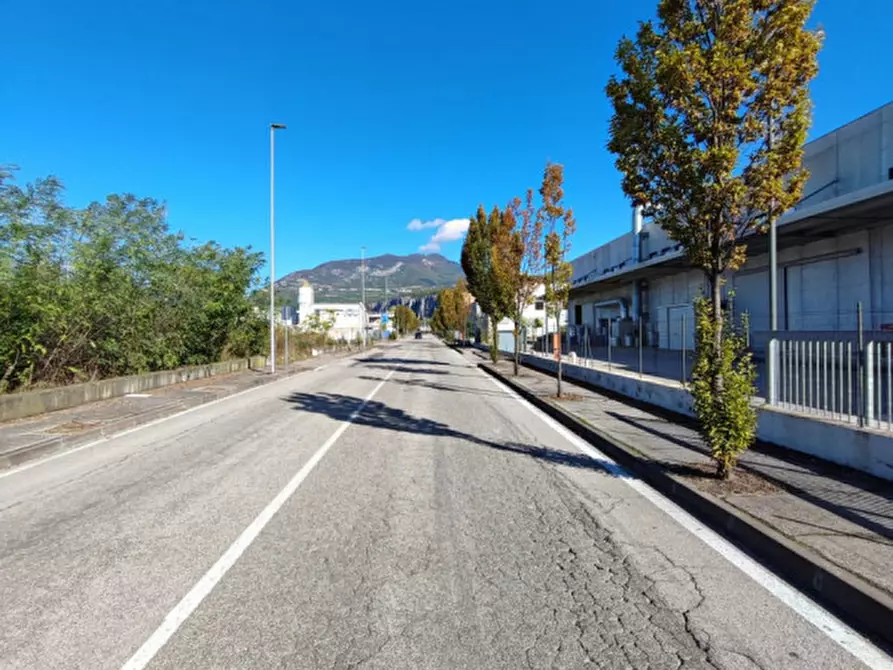 Immagine 7 di Terreno in vendita  in via pegrosse a Dolcè