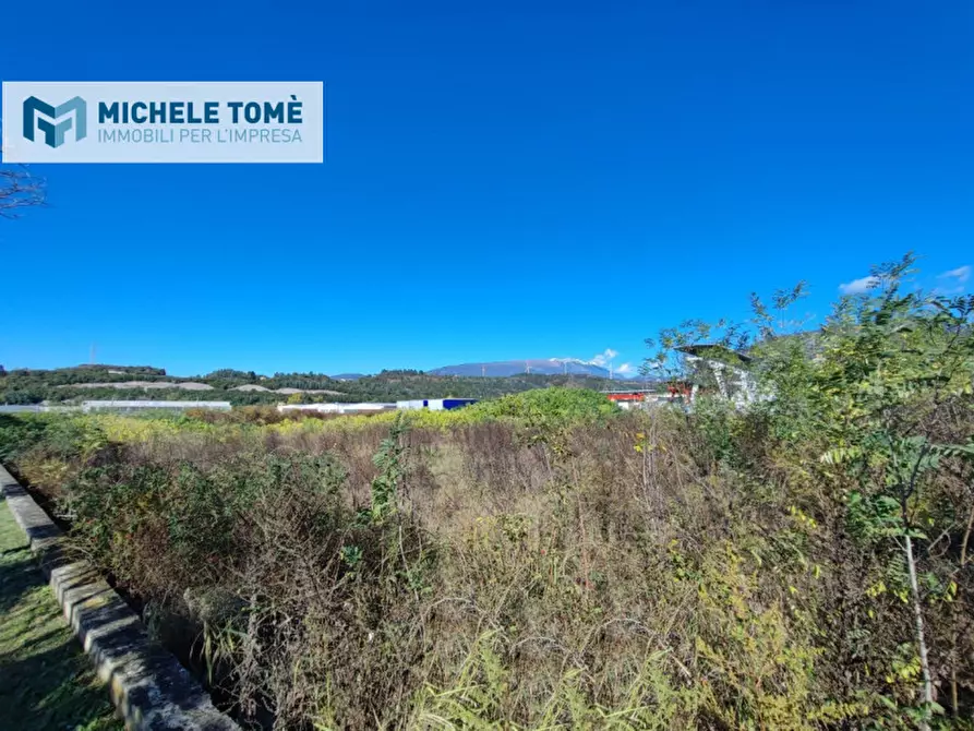 Immagine 14 di Terreno in vendita  in via pegrosse a Dolcè