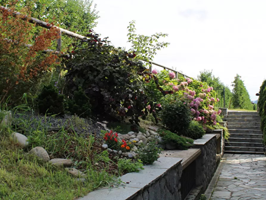 Immagine 21 di Appartamento in vendita  in Via Longa,n.16 a Terzolas