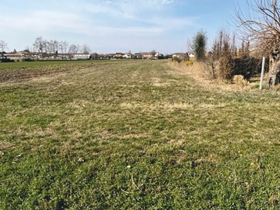 Immagine 2 di Terreno in vendita  in Via Monte Grappa a Istrana