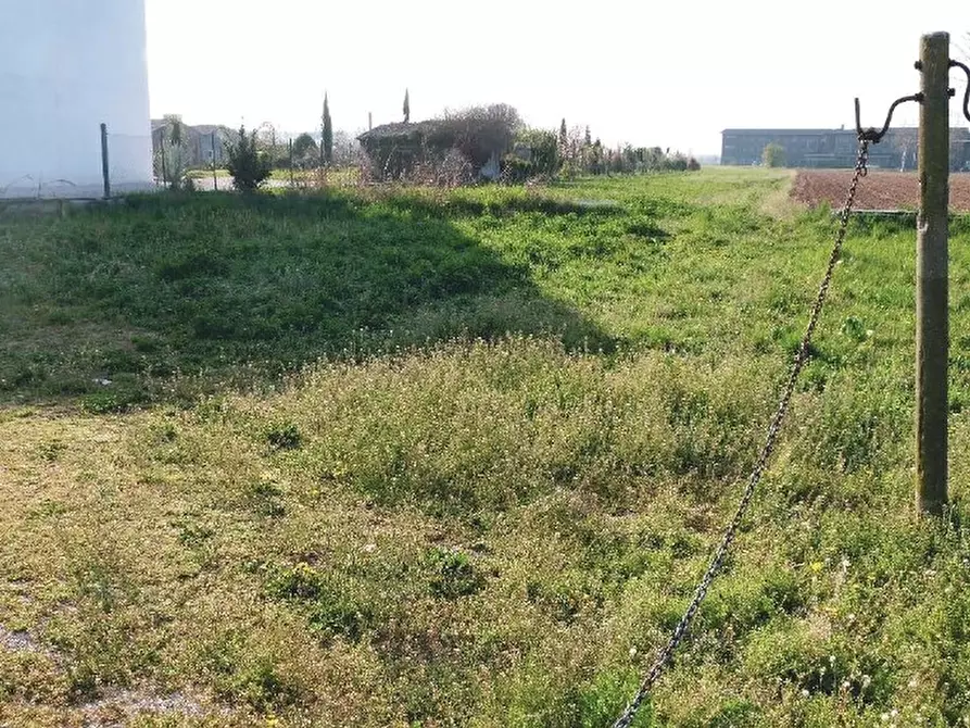 Immagine 6 di Terreno in vendita  in Via Monte Grappa a Istrana