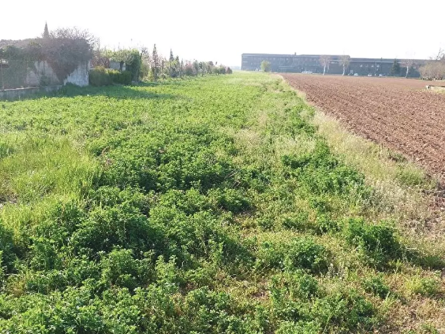 Immagine 7 di Terreno in vendita  in Via Monte Grappa a Istrana