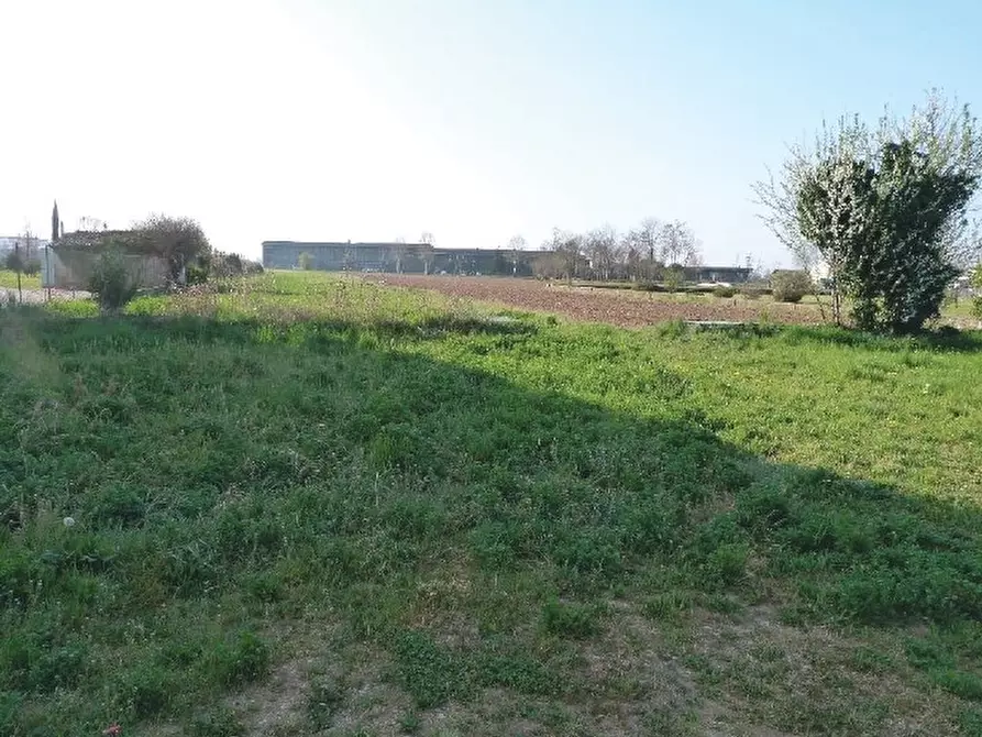 Immagine 9 di Terreno in vendita  in Via Monte Grappa a Istrana