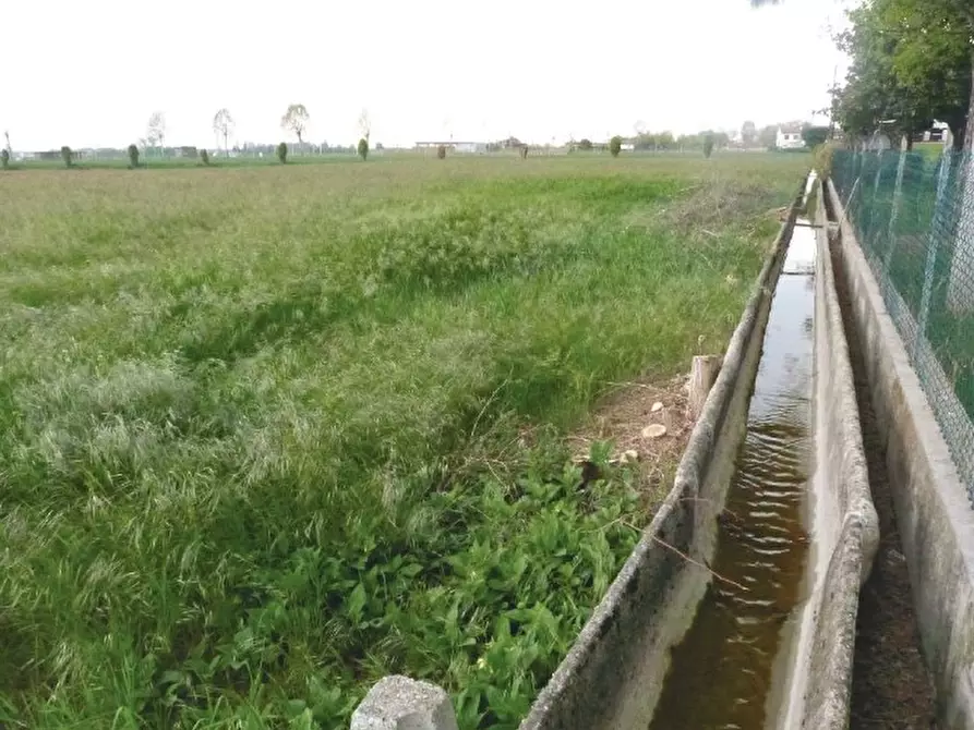 Immagine 10 di Terreno in vendita  in Via Monte Grappa a Istrana