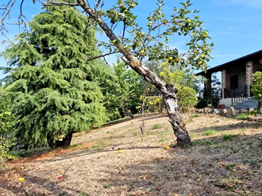 Immagine 34 di Villa in vendita  a Vernasca
