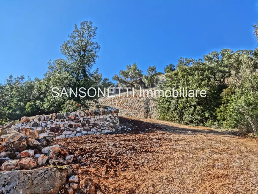 Immagine 12 di Rustico / casale in vendita  in LELGP a Fasano