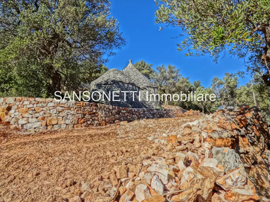 Immagine 13 di Rustico / casale in vendita  in LELGP a Fasano