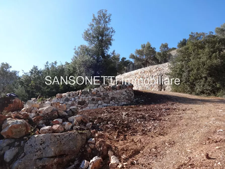 Immagine 14 di Rustico / casale in vendita  in LELGP a Fasano