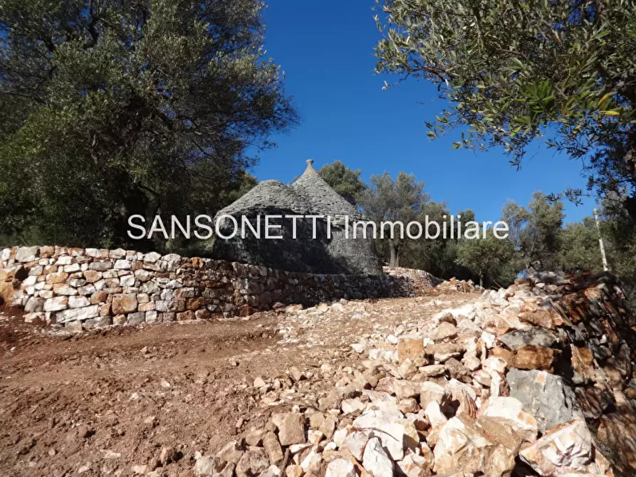 Immagine 15 di Rustico / casale in vendita  in LELGP a Fasano