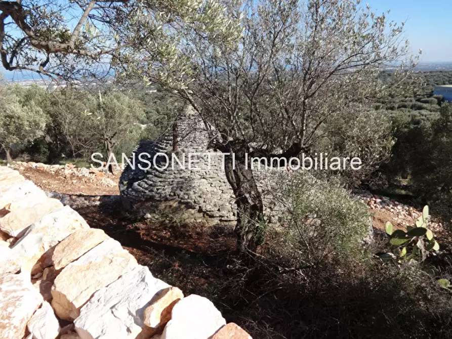 Immagine 24 di Rustico / casale in vendita  in LELGP a Fasano