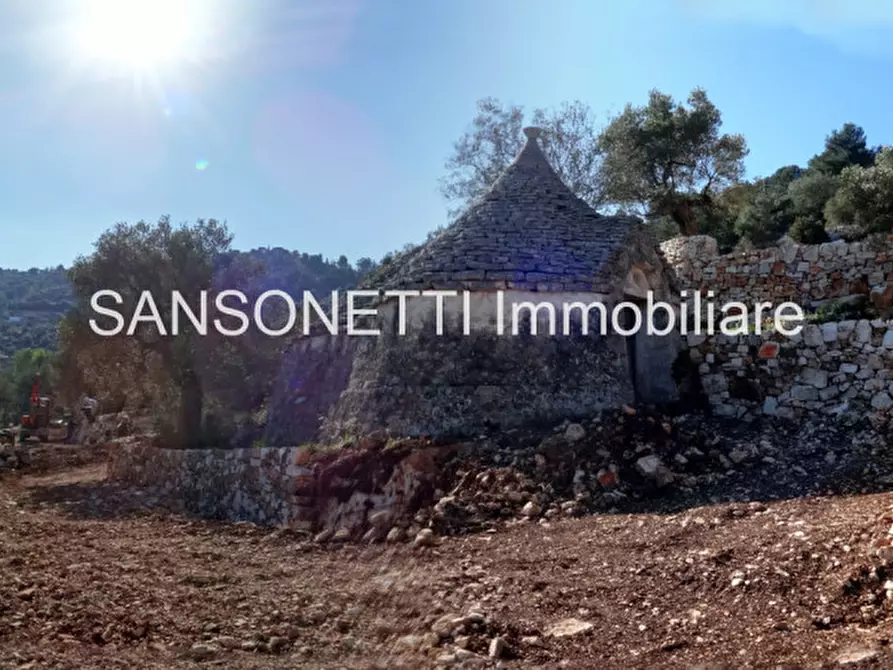 Immagine 27 di Rustico / casale in vendita  in LELGP a Fasano