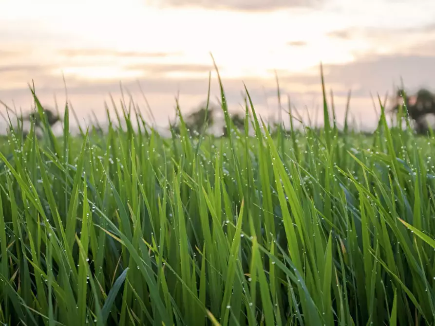Immagine 21 di Terreno in vendita  in Via San Marco a Castelfranco Veneto