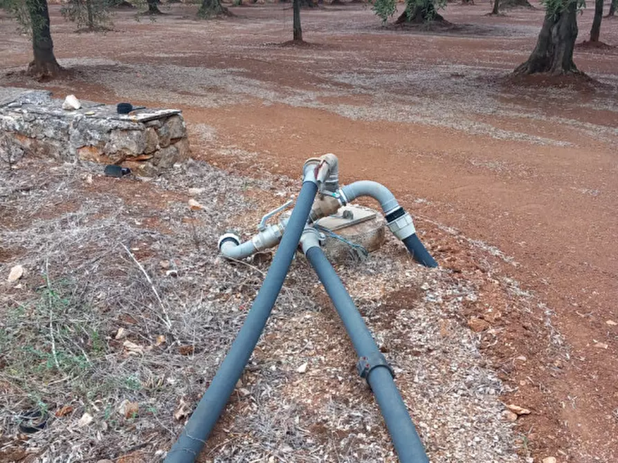 Immagine 22 di Rustico / casale in vendita  in C.da Casieddi a Ostuni
