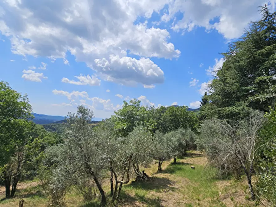 Immagine 33 di Villa in vendita  a Calenzano