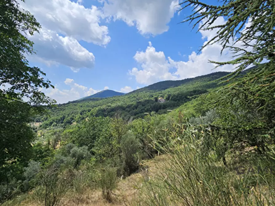 Immagine 35 di Villa in vendita  a Calenzano