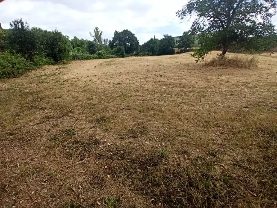 Immagine 2 di Terreno in vendita  in via dei Mandorli a Panicale