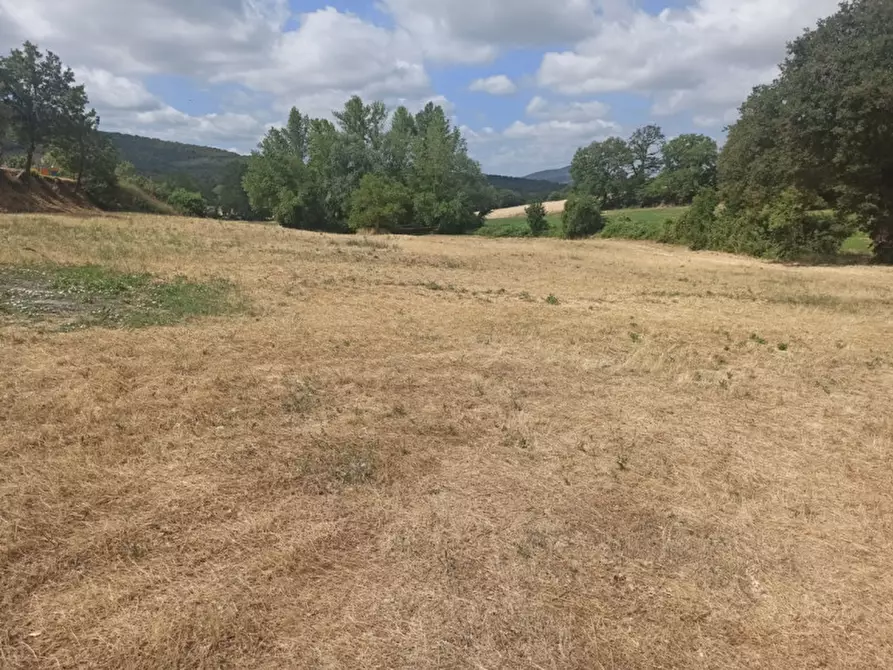 Immagine 3 di Terreno in vendita  in via dei Mandorli a Panicale