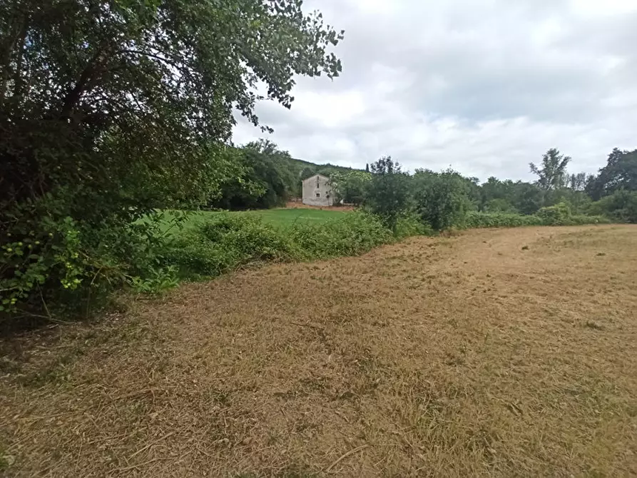 Immagine 4 di Terreno in vendita  in via dei Mandorli a Panicale