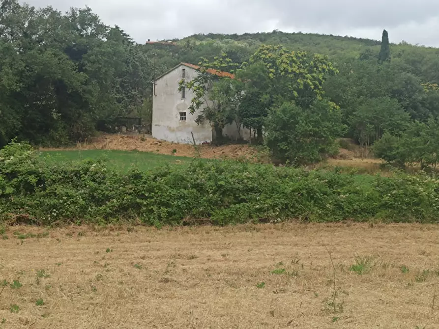 Immagine 5 di Terreno in vendita  in via dei Mandorli a Panicale