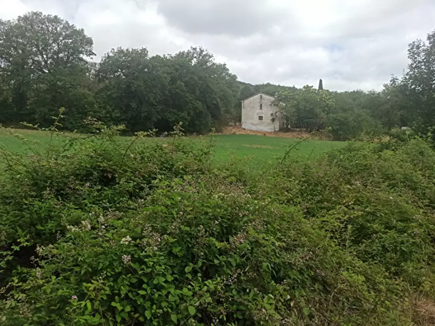Immagine 6 di Terreno in vendita  in via dei Mandorli a Panicale