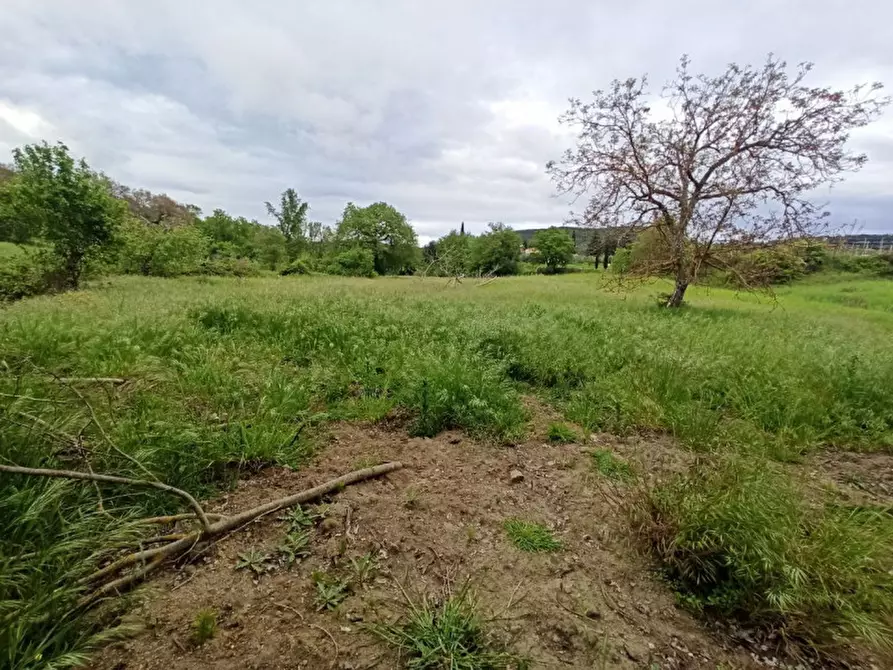 Immagine 7 di Terreno in vendita  in via dei Mandorli a Panicale