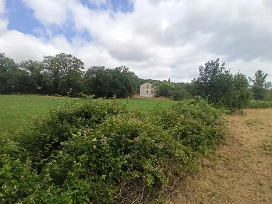 Immagine 8 di Terreno in vendita  in via dei Mandorli a Panicale