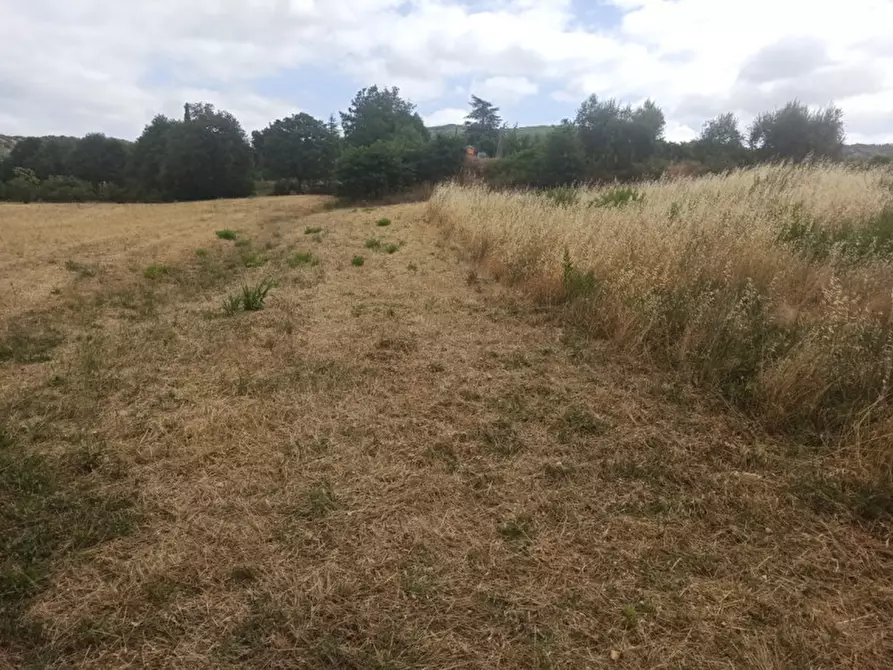 Immagine 9 di Terreno in vendita  in via dei Mandorli a Panicale
