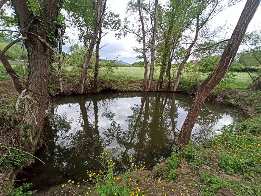 Immagine 10 di Terreno in vendita  in via dei Mandorli a Panicale