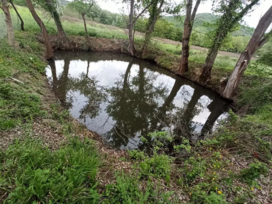 Immagine 11 di Terreno in vendita  in via dei Mandorli a Panicale