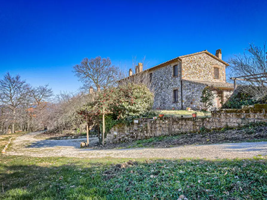 Immagine 1 di Rustico / casale in vendita  in Podere Cerreto a Castel Viscardo