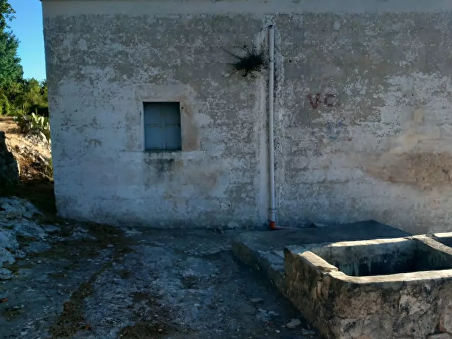 Immagine 2 di Rustico / casale in vendita  in C.da Giuseppe Nisi a Ceglie Messapico