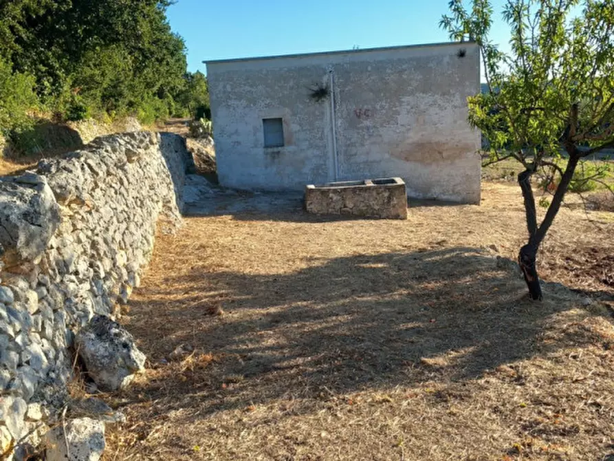 Immagine 3 di Rustico / casale in vendita  in C.da Giuseppe Nisi a Ceglie Messapico