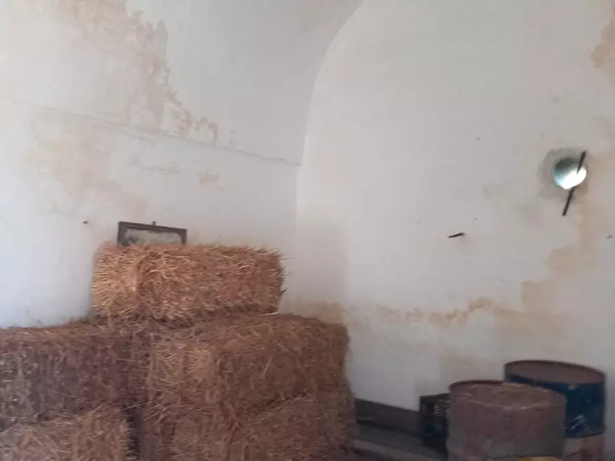 Immagine 4 di Rustico / casale in vendita  in C.da Giuseppe Nisi a Ceglie Messapico