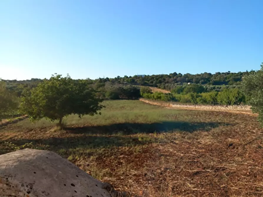 Immagine 14 di Rustico / casale in vendita  in C.da Giuseppe Nisi a Ceglie Messapico