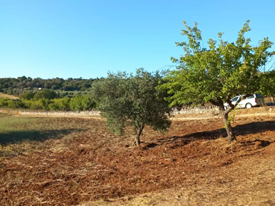 Immagine 15 di Rustico / casale in vendita  in C.da Giuseppe Nisi a Ceglie Messapico