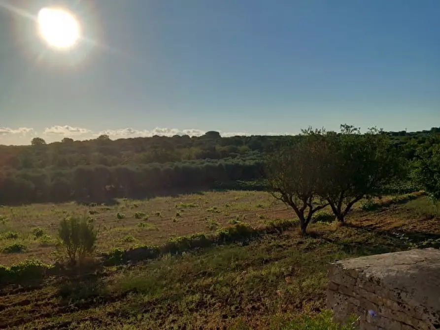 Immagine 16 di Rustico / casale in vendita  in C.da Giuseppe Nisi a Ceglie Messapico