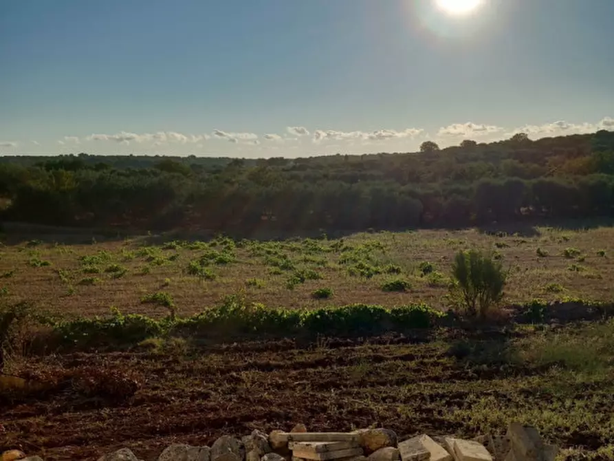 Immagine 17 di Rustico / casale in vendita  in C.da Giuseppe Nisi a Ceglie Messapico