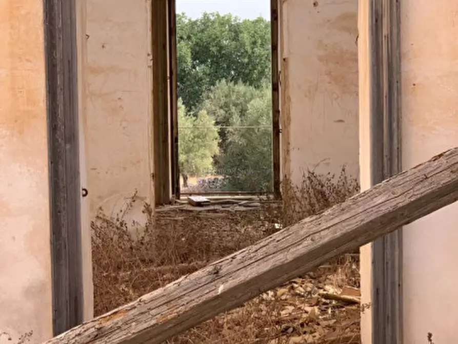 Immagine 16 di Rustico / casale in vendita  in Contrada Torre Vecchia a Vittoria